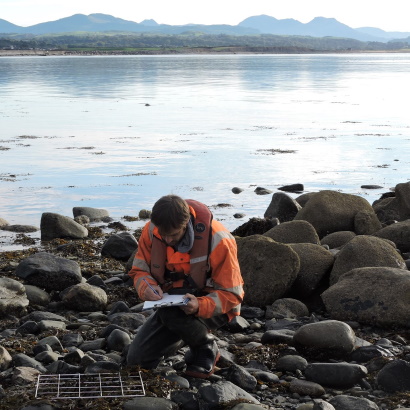 Hafan y Môr Phase 1 intertidal habitat survey