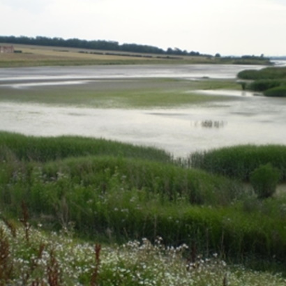 Managed realignment scheme monitoring