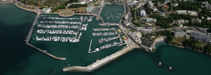 Risk Management Software