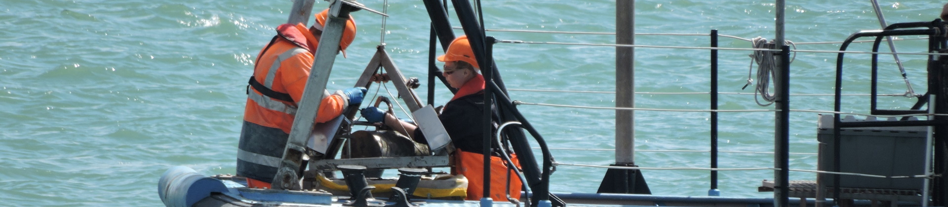 Marine and Coastal Survey