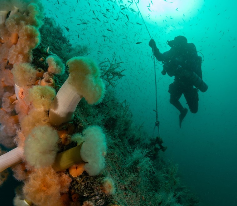 Marine Data Exchange Scottish expansion underway for UK’s world-leading offshore industry data resource