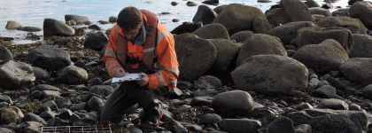 Hafan y Môr intertidal survey
