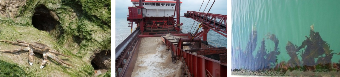 biosecurity-planning-collage (1)