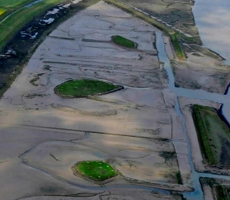 ABPmers Blue Carbon Calculator