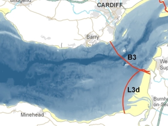 Severn tidal scheme environmental study