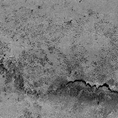 Measuring dredging impact on black bream