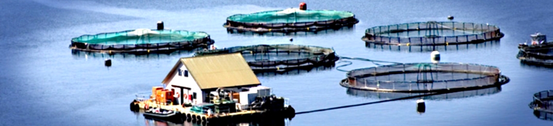 aquaculture-fishfarm (1)