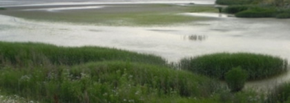 Welwick Chowder Ness