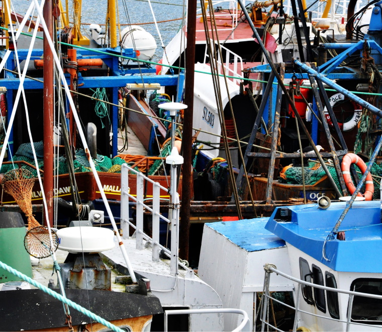 Report published - Impact of Alternative Fish Trade Agreements Post EU-Exit Assessment
